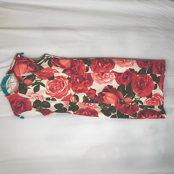 Dresses & Skirts - Floral Red and White Sleeveless Dress
